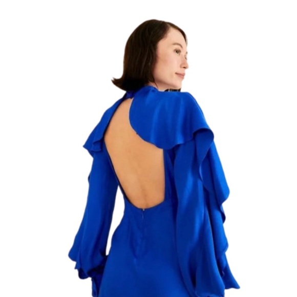 Farm Rio Backless Ruffle Sleeve dress - Picture 2 of 5